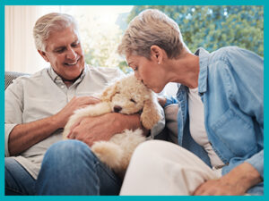 Dog friendly caravan parks England