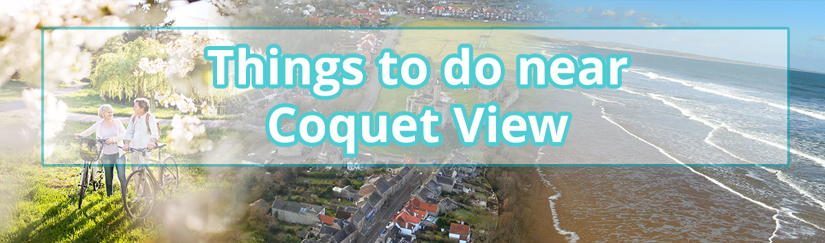 Things to do near warkworth Northumberland