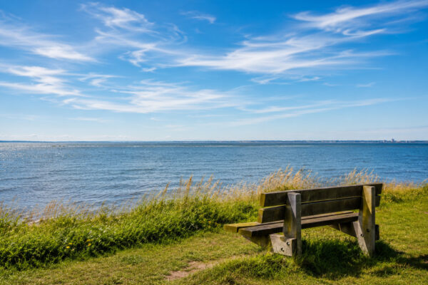 Lighthouse View